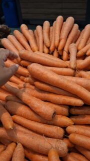 Quando iniciamos um negócio, no campo ou na cidade, muitas pessoas oferem poções mágicas para que ele dê certo. Meios de sonegação de impostos, crédito em financeiras, importações facilitadas, desprezo por normas técnicas e tantas outras propagandas que não levam em conta a realidade do negócio, nem as consequências de atividades ilícitas.

Com isso, muitos se afundam em dívidas, tomam caminhos arriacados, são multados  pelo governo e tantas outras consequências. Muitas delas levam ã execuções fiscais e execuções civis. Quando existe uma execução em curso, a vida perde o brilho. A constrição de bens, os gastos inevitáveis com advogados e custas processuais. 

Por isso, quero iniciar a semana te incentivando a planejar com a luz da realidade. Não existe caminho fácil para grandes conquistas. Planeje com auxílio profissional, com quem te mostra com técnica a realidade, aa boas possibilidades e tudo com segurança. 

#agro #advogada #tributos #segurançaalimentar #negocios