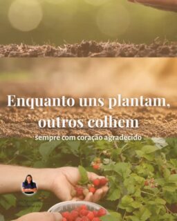 Não é uma publicação técnica, eu sei.
“Em tudo daí graças”, o coração agradecido reflete o reconhecimento de que o esforço é necessário, mas a benção de Deus é fundamental. Mesmo em cenários de crise como o que vivemos, precisamos cultivar a gratidão a Deus em nosso coração.
Você tem motivos para agradecer? Como é celebrado o Dia de Ações de Graças na sua região?