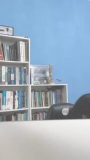 Comente AGRO para um vídeo com as 3 perguntas sobre a Saída Fiscal do Produtor Rural.